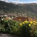Girasol