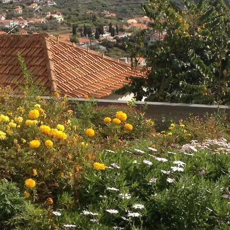 Girasol * Arco da Calheta (Madeira)
