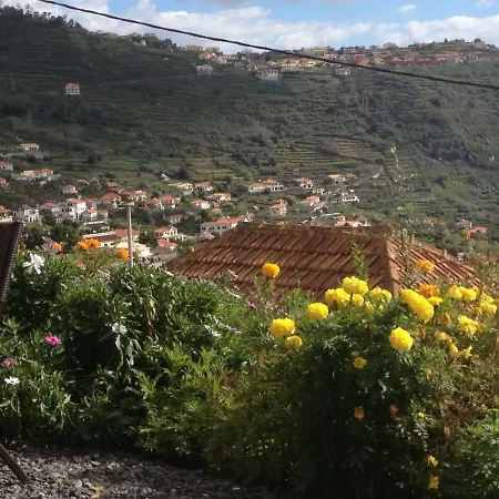 Girasol