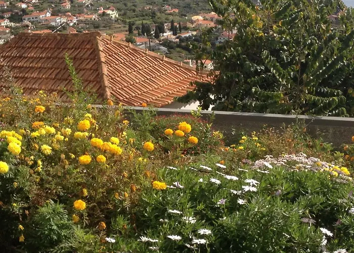 Girasol * Arco da Calheta (Madeira)